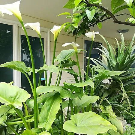 Borgo فندق مبيت وإفطار أوترانتو