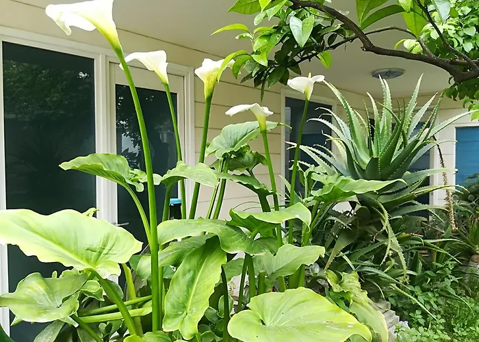 Borgo Nocleg ze śniadaniem Otranto